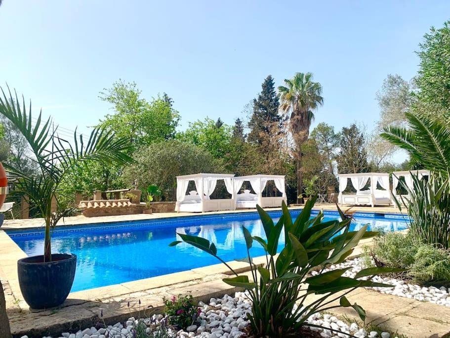 Appartement Bodasuite, 2 Schlafzimmer, Kueche, Wohnzimmer,terrasse Manacor (Mallorca)